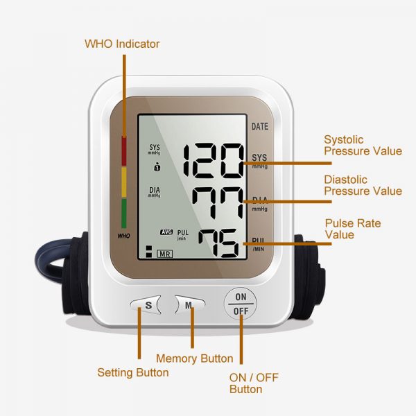 Digital Blood Pressure Monitor - BP11 - Image 2